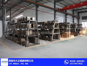 高密大正模具 山東注塑加工與軟件開發(fā)的創(chuàng)新融合
